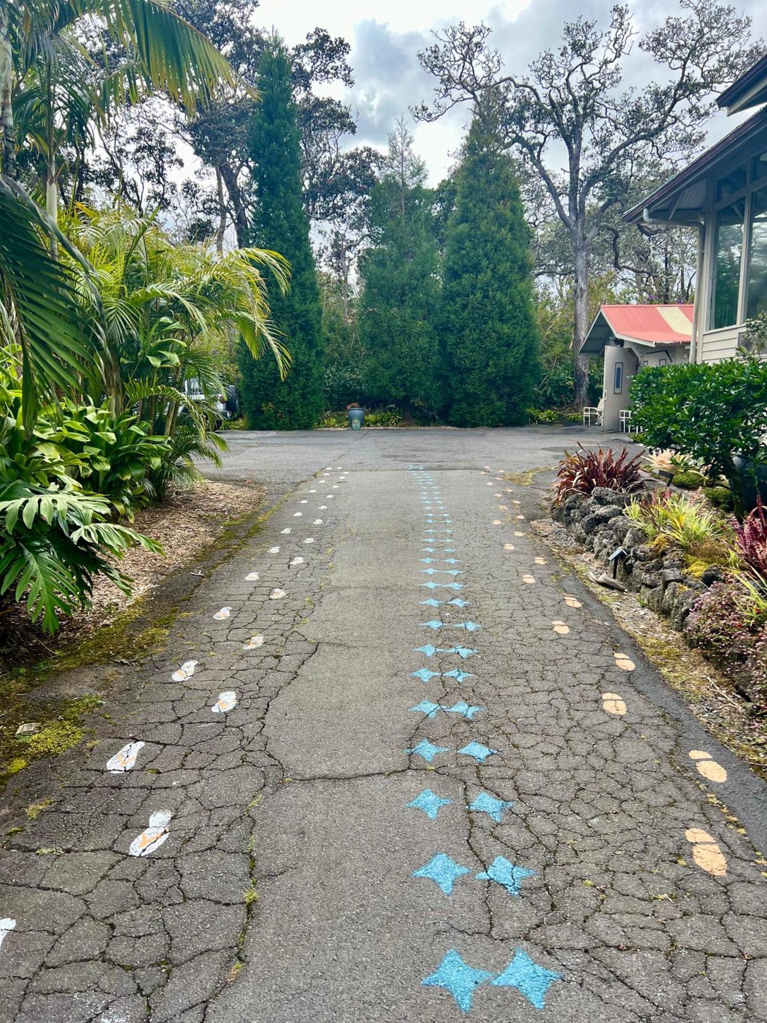 Aloha Junction Bed And Breakfast -Minutes Away From Hawaii Volcanoes National Park Dış mekan fotoğraf
