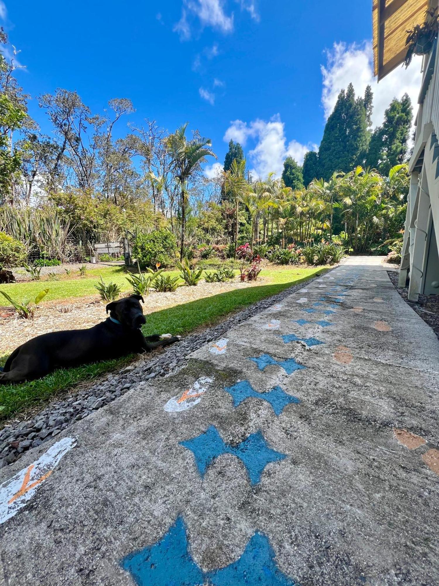 Aloha Junction Bed And Breakfast -Minutes Away From Hawaii Volcanoes National Park Dış mekan fotoğraf