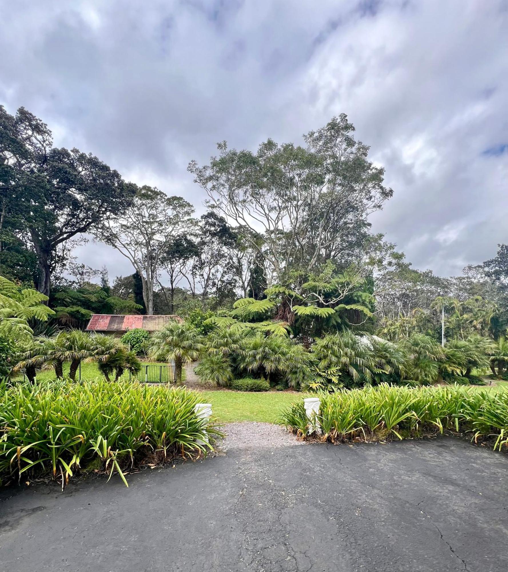 Aloha Junction Bed And Breakfast -Minutes Away From Hawaii Volcanoes National Park Dış mekan fotoğraf
