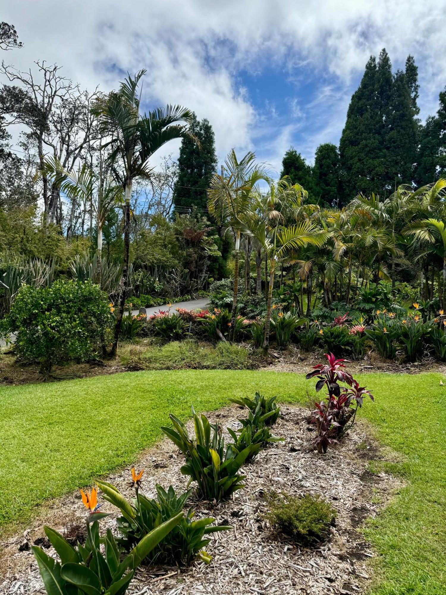 Aloha Junction Bed And Breakfast -Minutes Away From Hawaii Volcanoes National Park Dış mekan fotoğraf