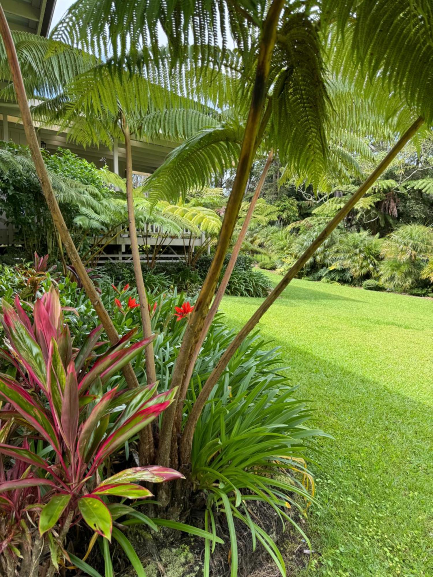 Aloha Junction Bed And Breakfast -Minutes Away From Hawaii Volcanoes National Park Dış mekan fotoğraf