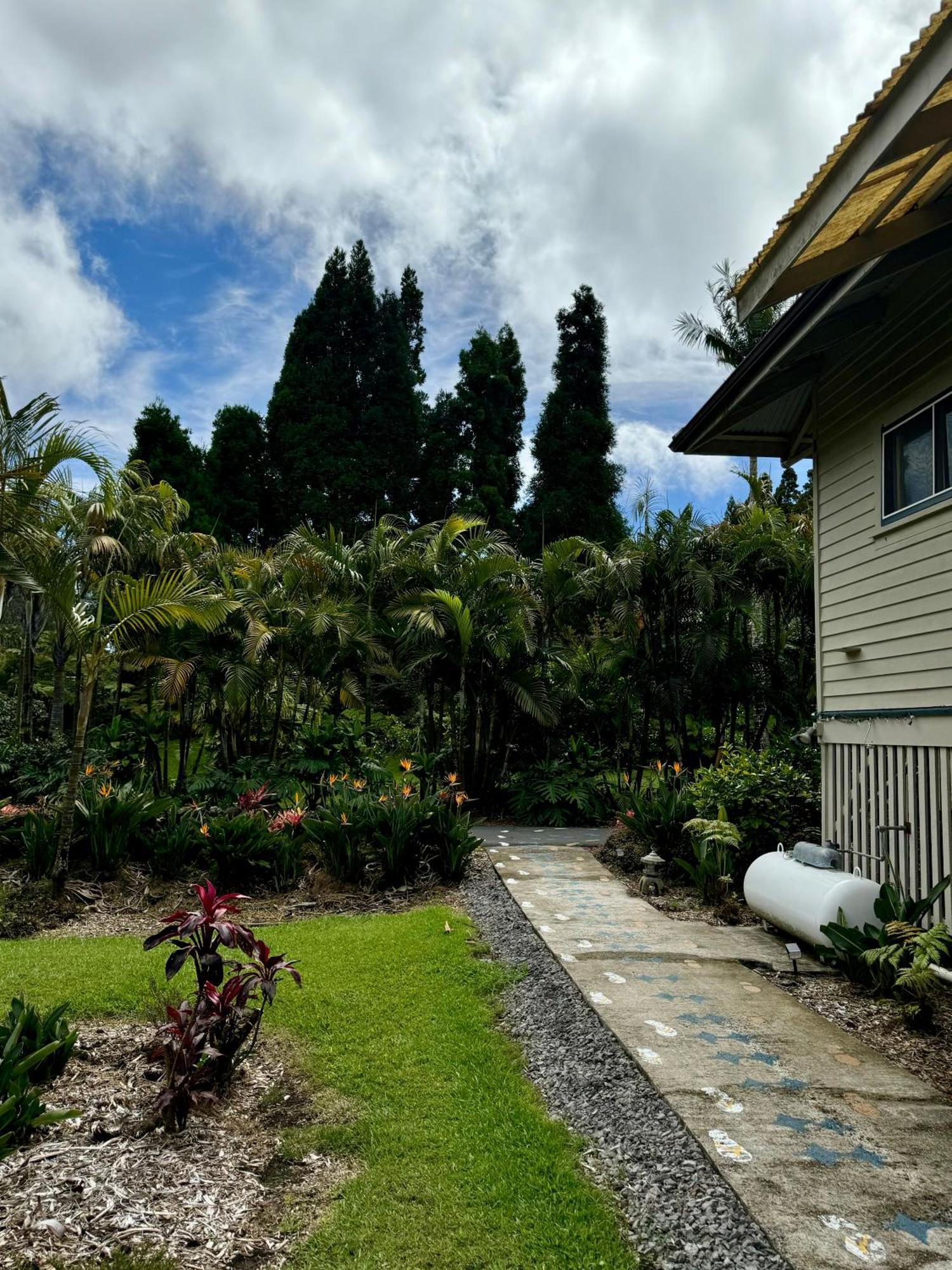 Aloha Junction Bed And Breakfast -Minutes Away From Hawaii Volcanoes National Park Dış mekan fotoğraf