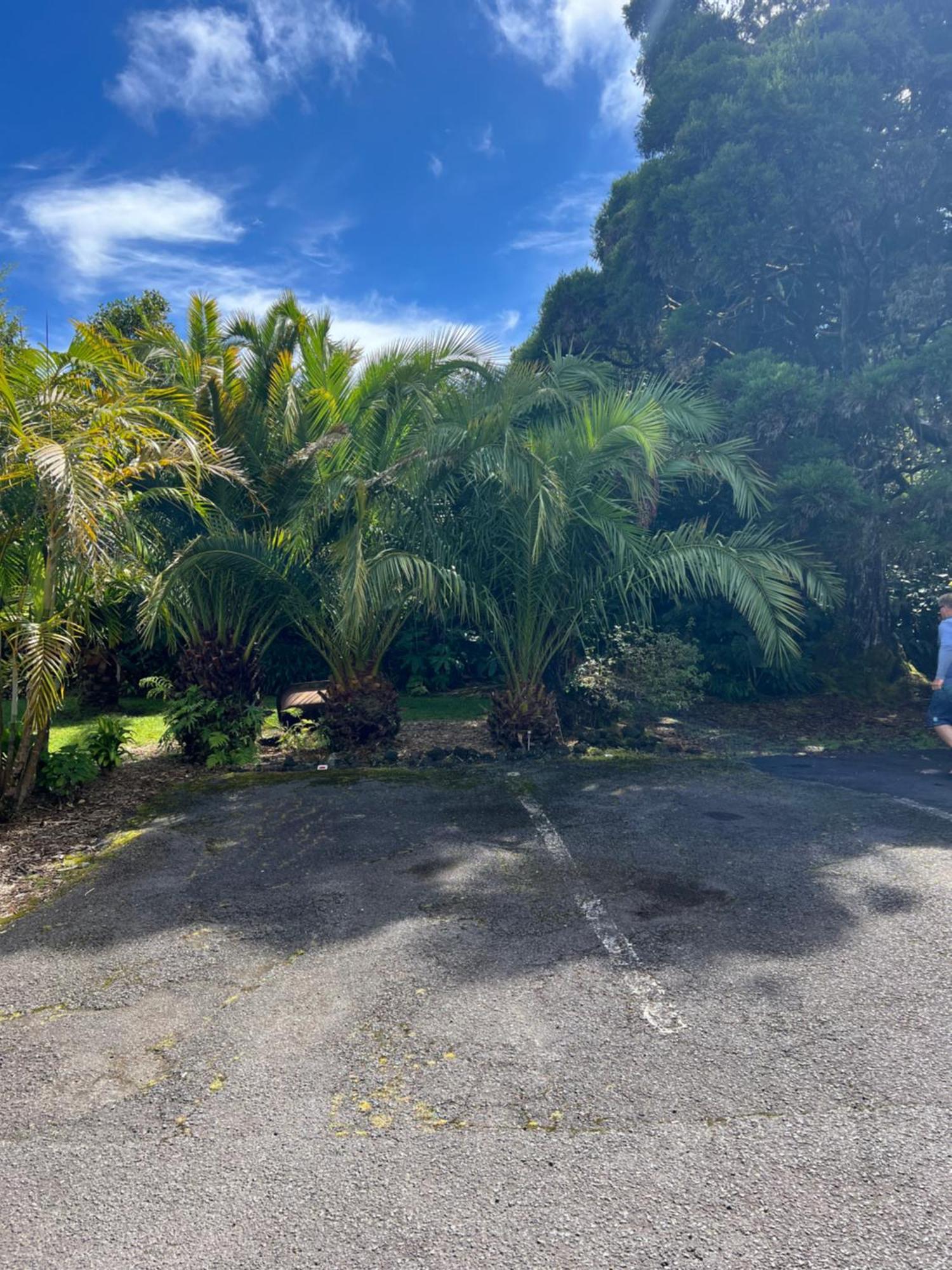 Aloha Junction Bed And Breakfast -Minutes Away From Hawaii Volcanoes National Park Dış mekan fotoğraf