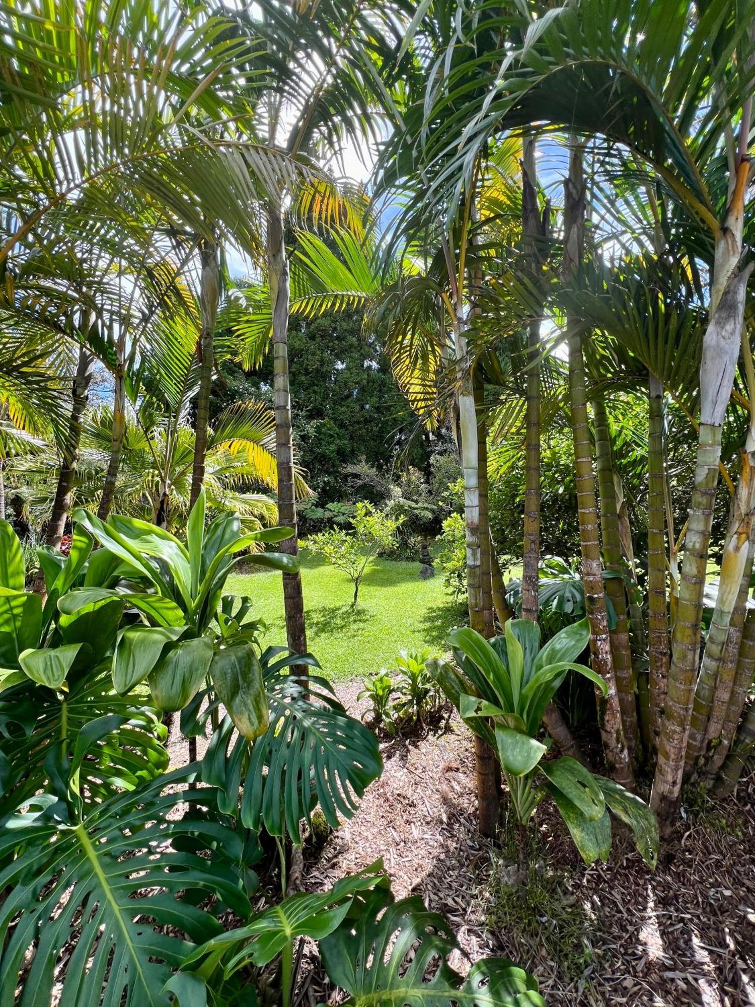 Aloha Junction Bed And Breakfast -Minutes Away From Hawaii Volcanoes National Park Dış mekan fotoğraf