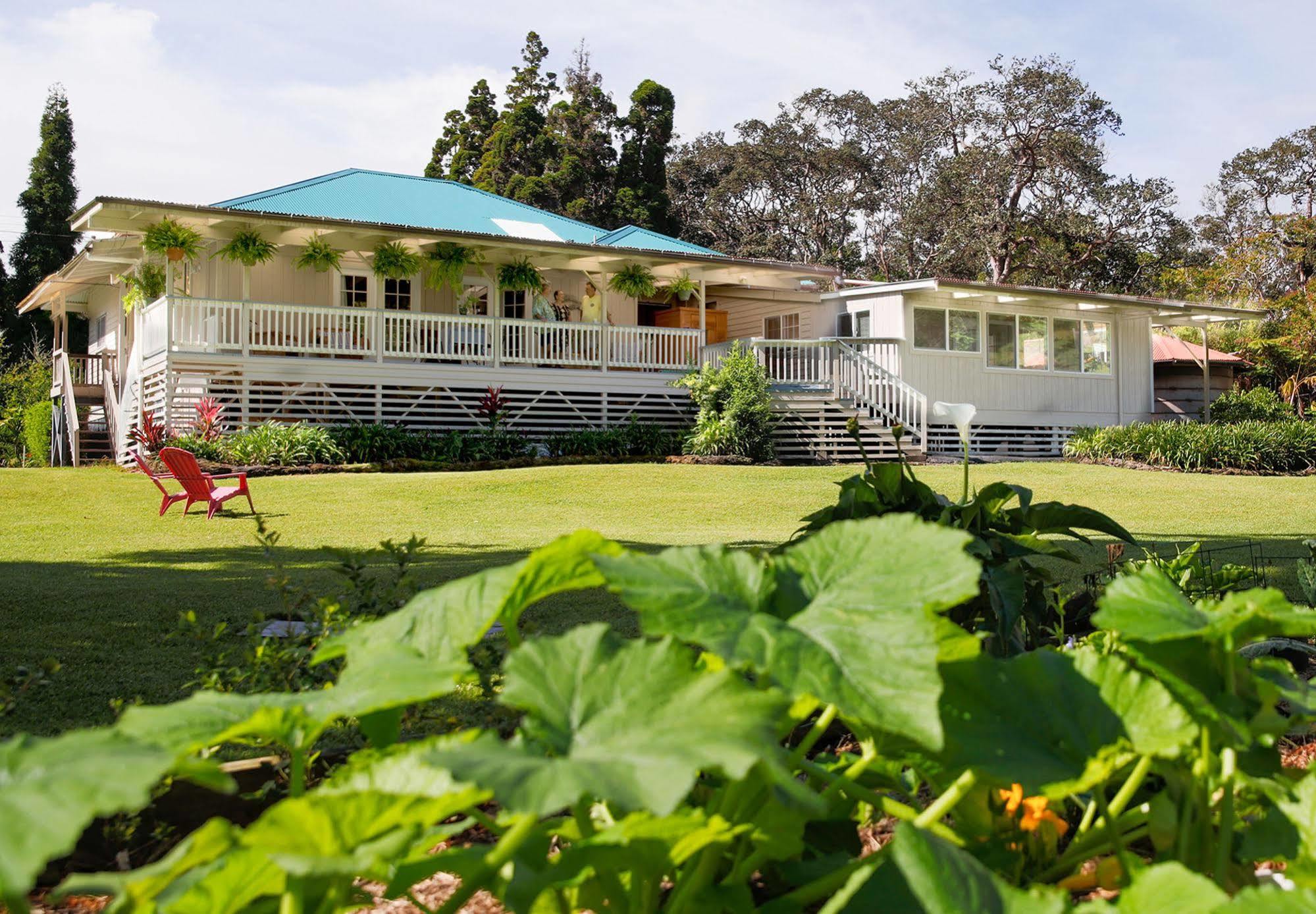 Aloha Junction Bed And Breakfast -Minutes Away From Hawaii Volcanoes National Park Dış mekan fotoğraf
